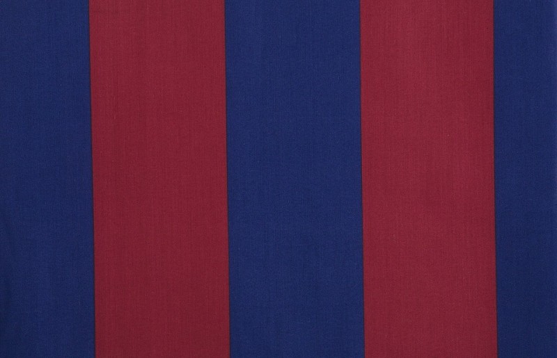 Fc Barcelona Colors Blue