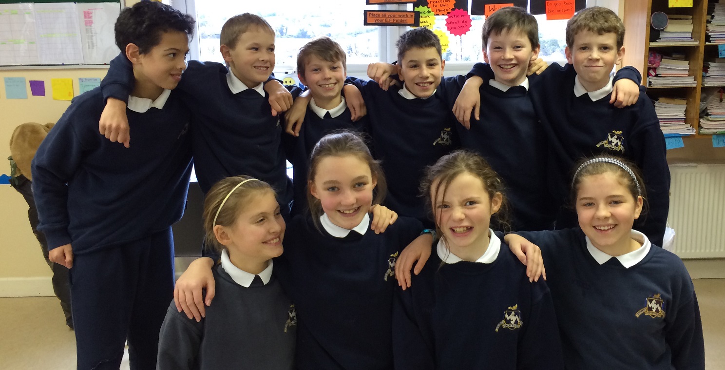 fifth and sixth class 2014-15 at Wicklow Montessori Primary School