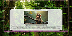 thumbnail of Freya's website