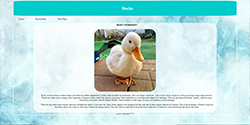 thumbnail of Scout's website